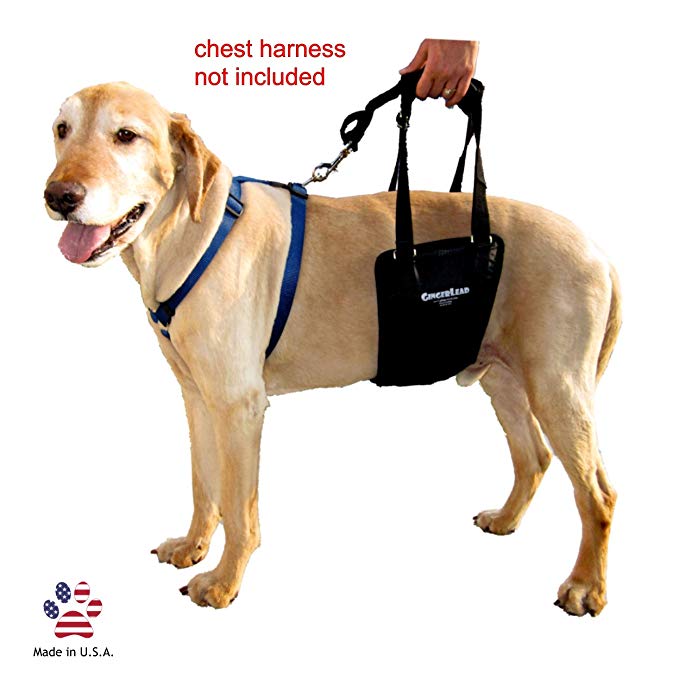 rehabilitation harness for dogs