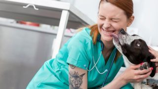 Dog Licking A Nurse With A Tattoo