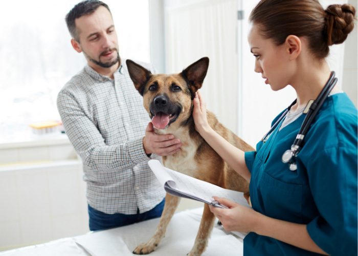 Man & His Dog At The Vet