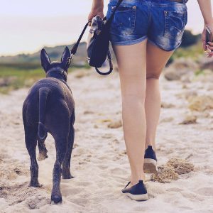 Woman Walking A Dog