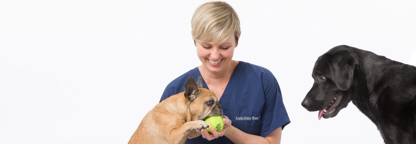 Resources for Veterinarians