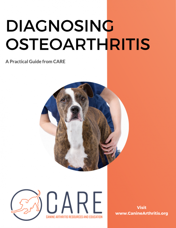 Diagnosing oa forms to use in your practice book canine arthritis