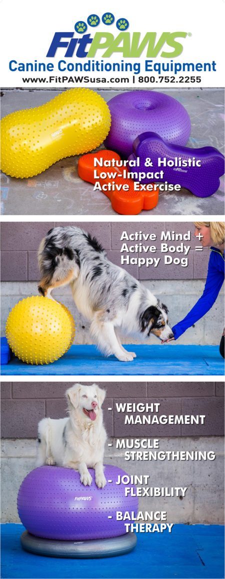 FitPAWS canine conditioning equipment 