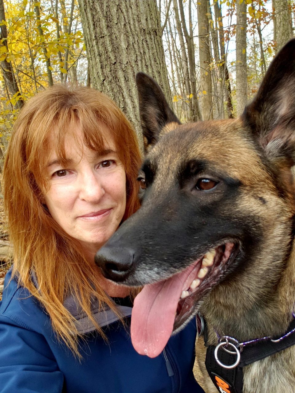 4 Ways to Help Prevent Injuries in Companion Dogs Canine Arthritis Resources and Education