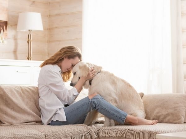 Benefits of adopting a senior dog